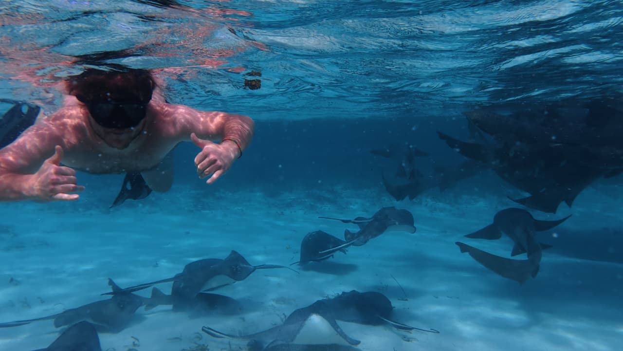 Snorkeling with rays in Belize